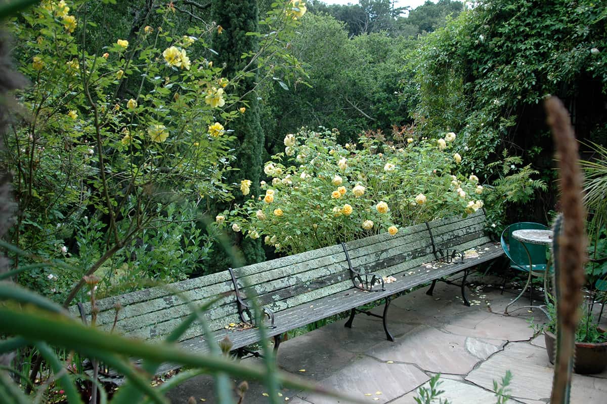 Subtropical Garden Berkeley California