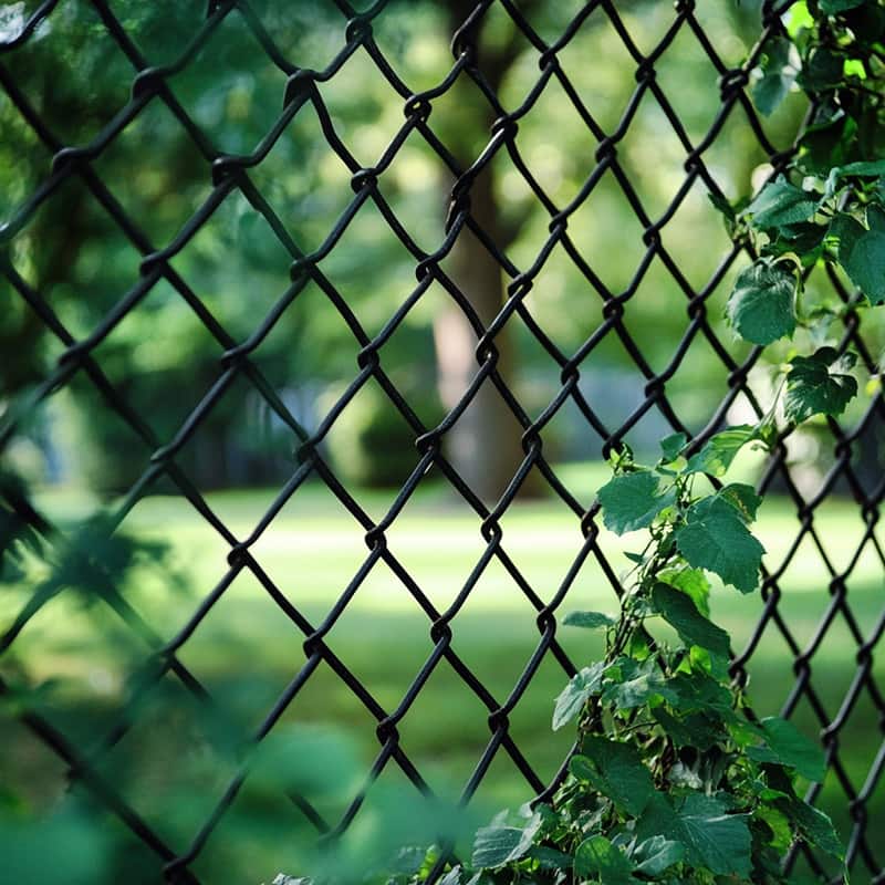 Chain Link Fence